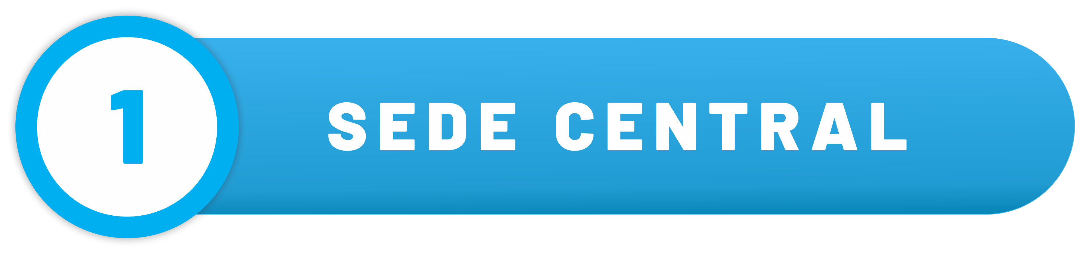 Sedes I.E.P. Alfredo Bryce Echenique Juliaca